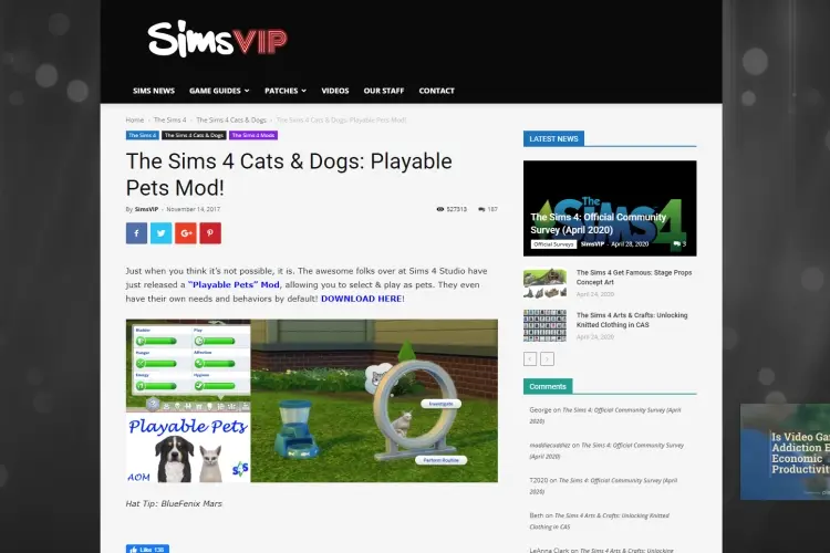 PlayablePet